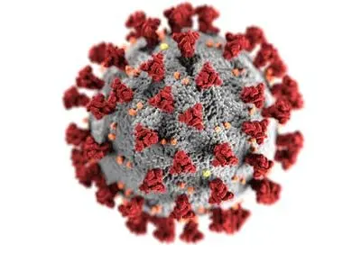 Macro Photo of the Covid-19 virus representing anti-viral paxlovid services