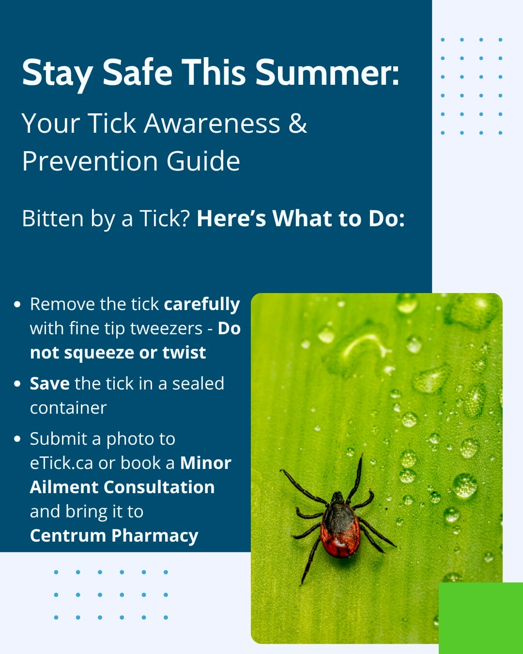 Stay Safe This Summer: Your Tick Awareness & Prevention Guide