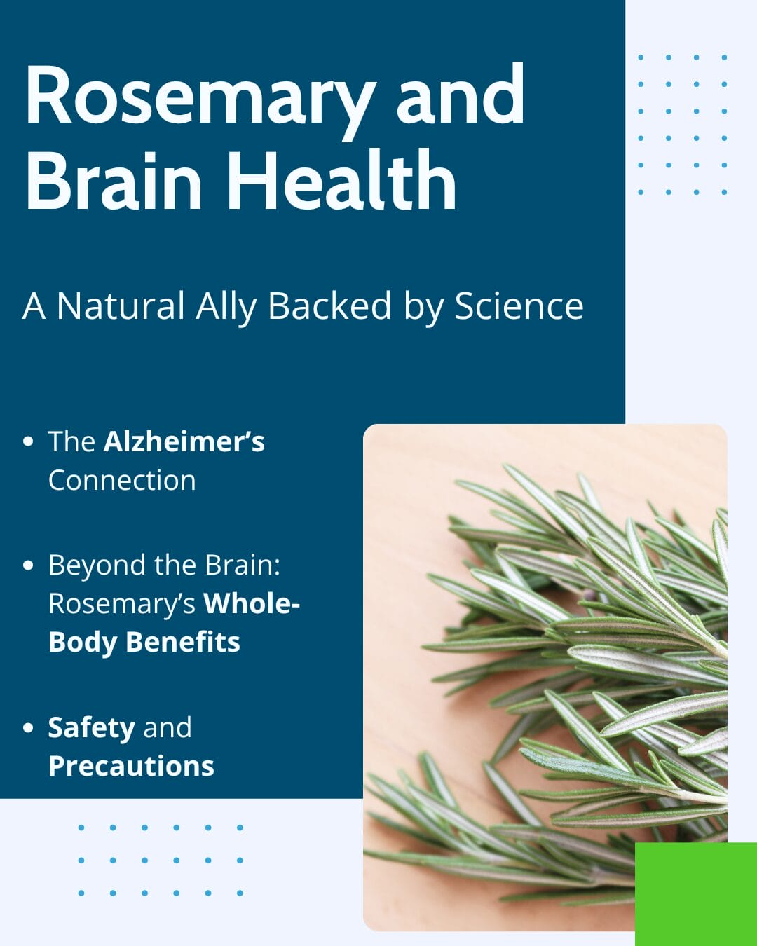 Infographic about rosemary and brain health summarizing the article and including a photo of a sprig of rosemary. Text Rosemary and Brain Health, Alzheimer's Connection, Whole Body Benefits, Safety and Precautions