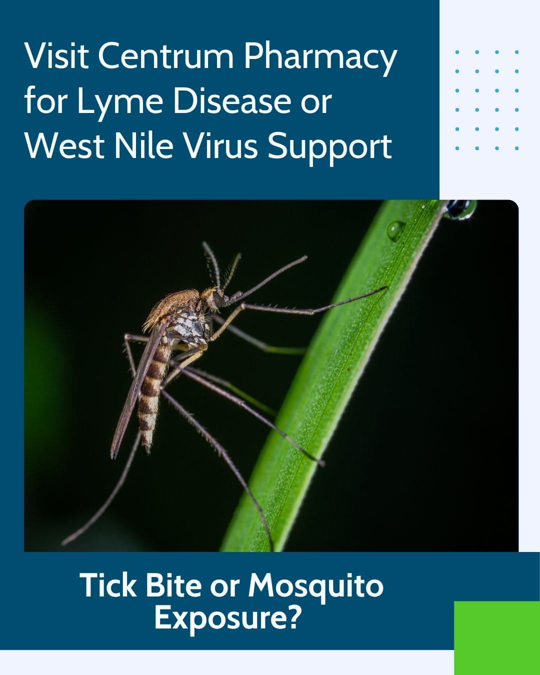 Tick Bite or Mosquito Exposure? Visit Centrum Pharmacy for Lyme Disease or West Nile Virus Support